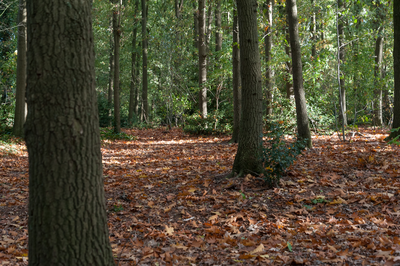 Blog foto-1