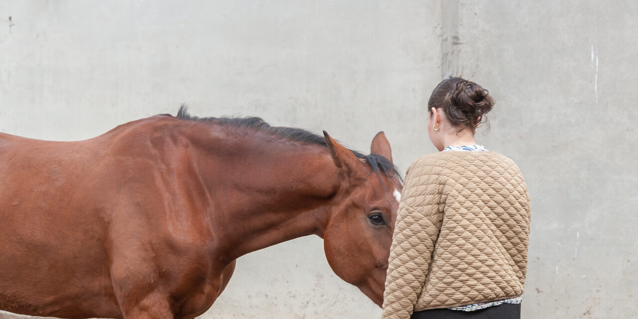 Paarden coaching by Tiesz